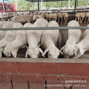 Сβ���������ô�u�� ������С����w���ۑ��д�ĸ�� �s����r��