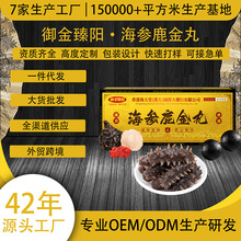 海参鹿金丸海参肽大蜜丸牡蛎肽小蜜丸鹿鞭片糖果男兹补丸鹿肽丸