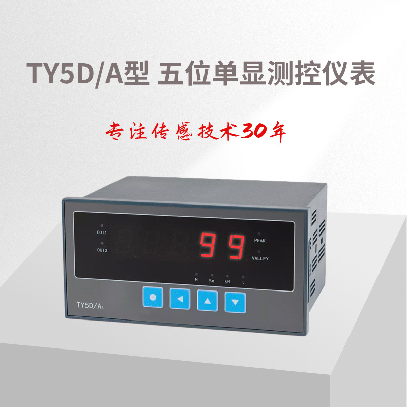 TY5D/A/ 测控仪表/五位单显测控仪表