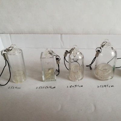 組培瓶多肉植物挂件玻璃瓶植物寶寶配件