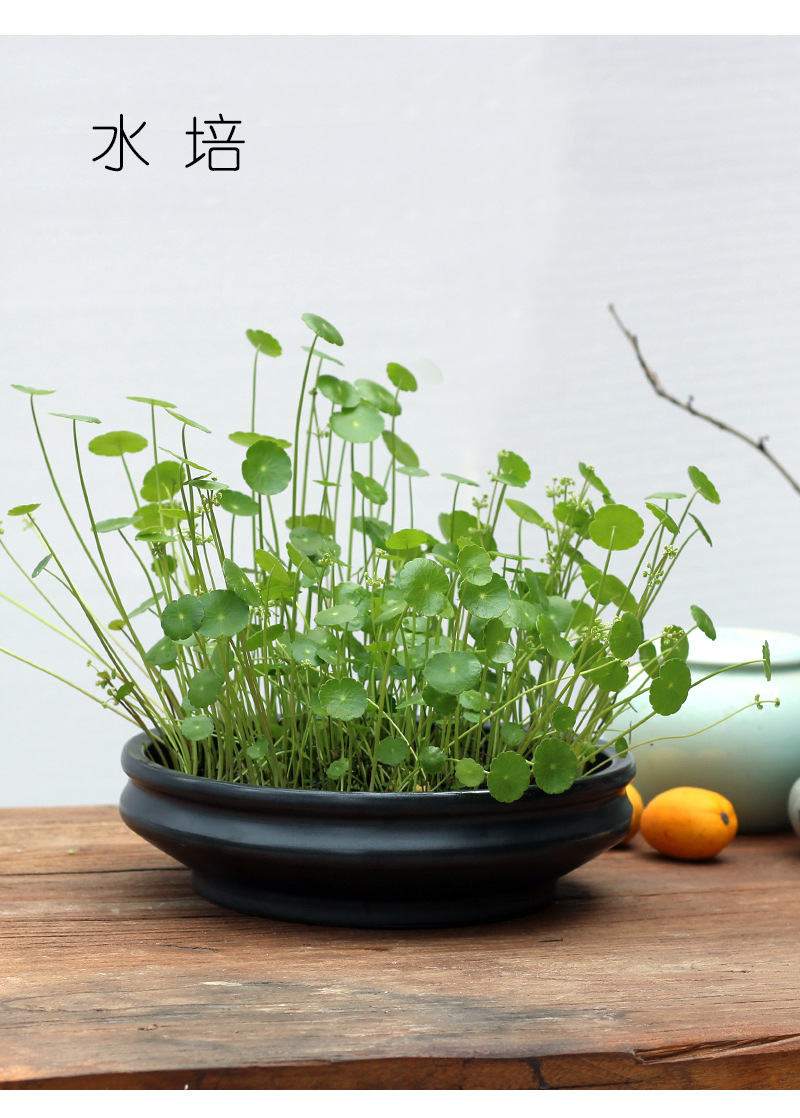 黑色竹节花器 详情页 5.jpg