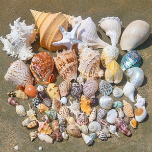 ��Ȼؐ�����ݺ��Ǽľ�з��Q���ֹ�ؐ������~���쾰���ݚ�