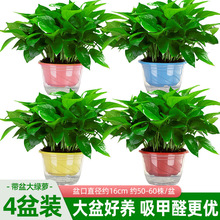 ~G}҃ȿ͏dȩkҾGjl՚ֲGֲ