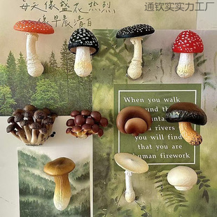 ������Ͼ����㹽Ģ�������N�����b��N����Ҿ��b�Ʒ�����N���w