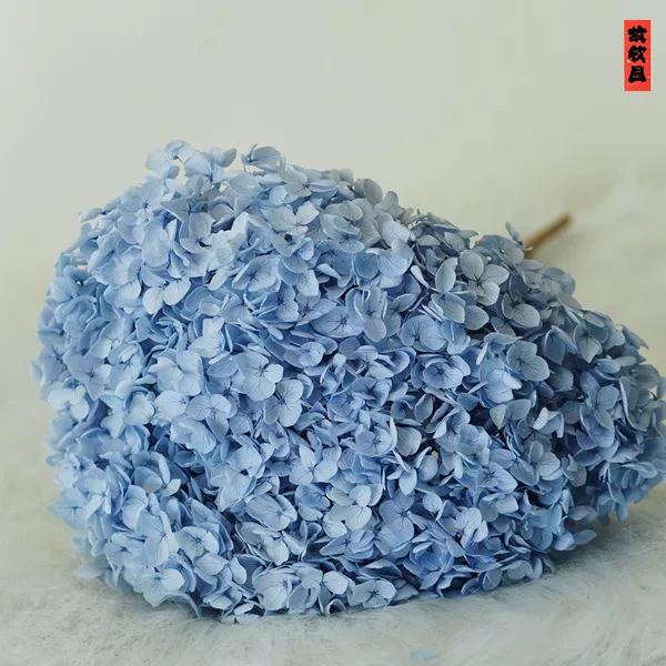 Baby Blue/Branch