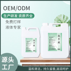 ホテルの手指消毒剤大量バッチ抗菌消毒商業手指消毒剤詰め替え 5L20L 大きなバケツ手指消毒剤