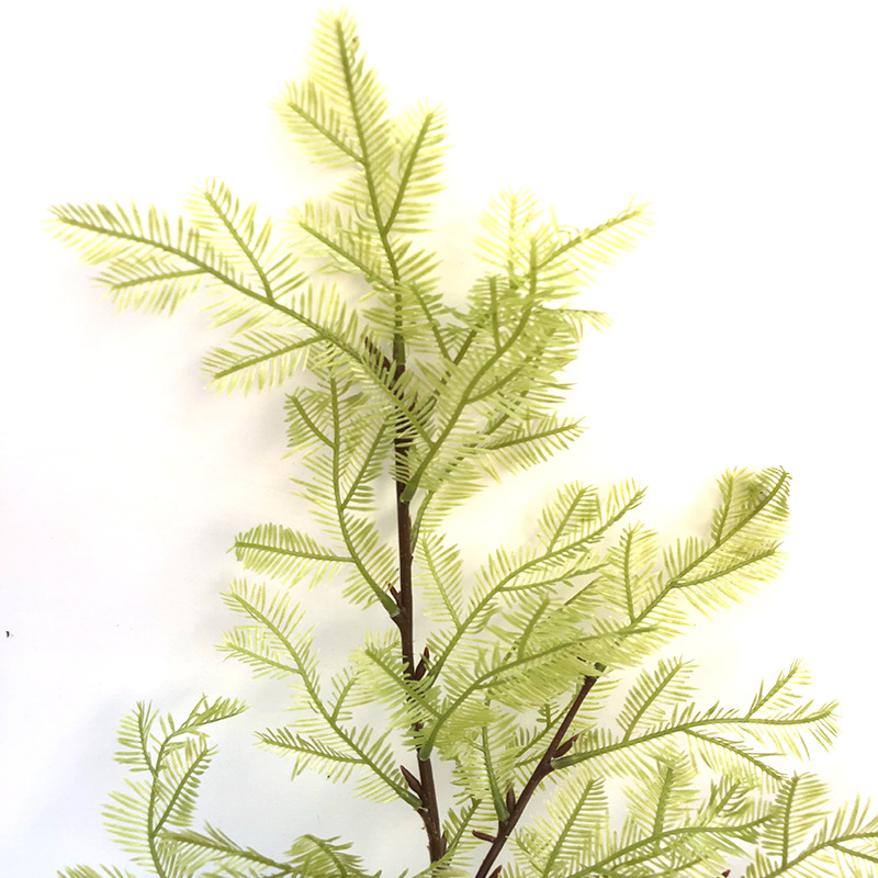 XRB-018 水杉叶三叉枝1.jpg