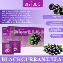 Blackcurrant Tea with VC Gut Care Immunity Boost Antioxidant