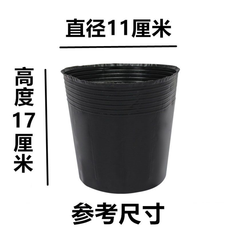 12*18 (diameter 11 and height 17) 200 pieces