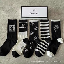 25�¿�羳����Ѷ��mŮ��H���e��Ͳ�\�����mŮ5�p���b�m�����l