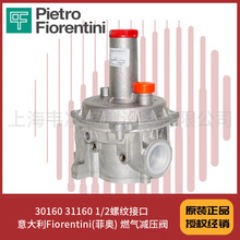 30160 31160 1/2�ݼy�ӿ� �����Fiorentini(�ƊW) ȼ��p���y