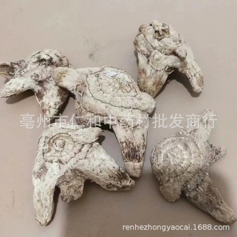 Dried Bletilla Rhizome Bai Ji Sliced Yunnan New Crop Bulk Chinese Herb key features