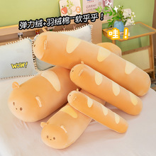 �¿��С���L�l�A������ë�q������������ż�����L�l˯�X�ɐ�