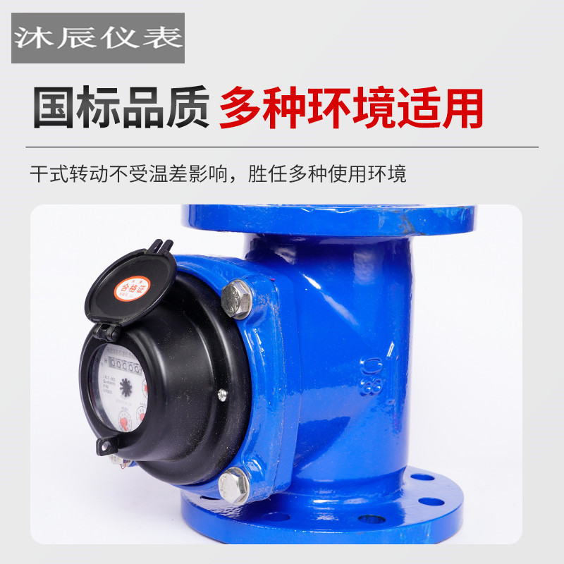 销售国标水表出租屋LXSY小区家用机械旋翼式DN15/208水控智能远传