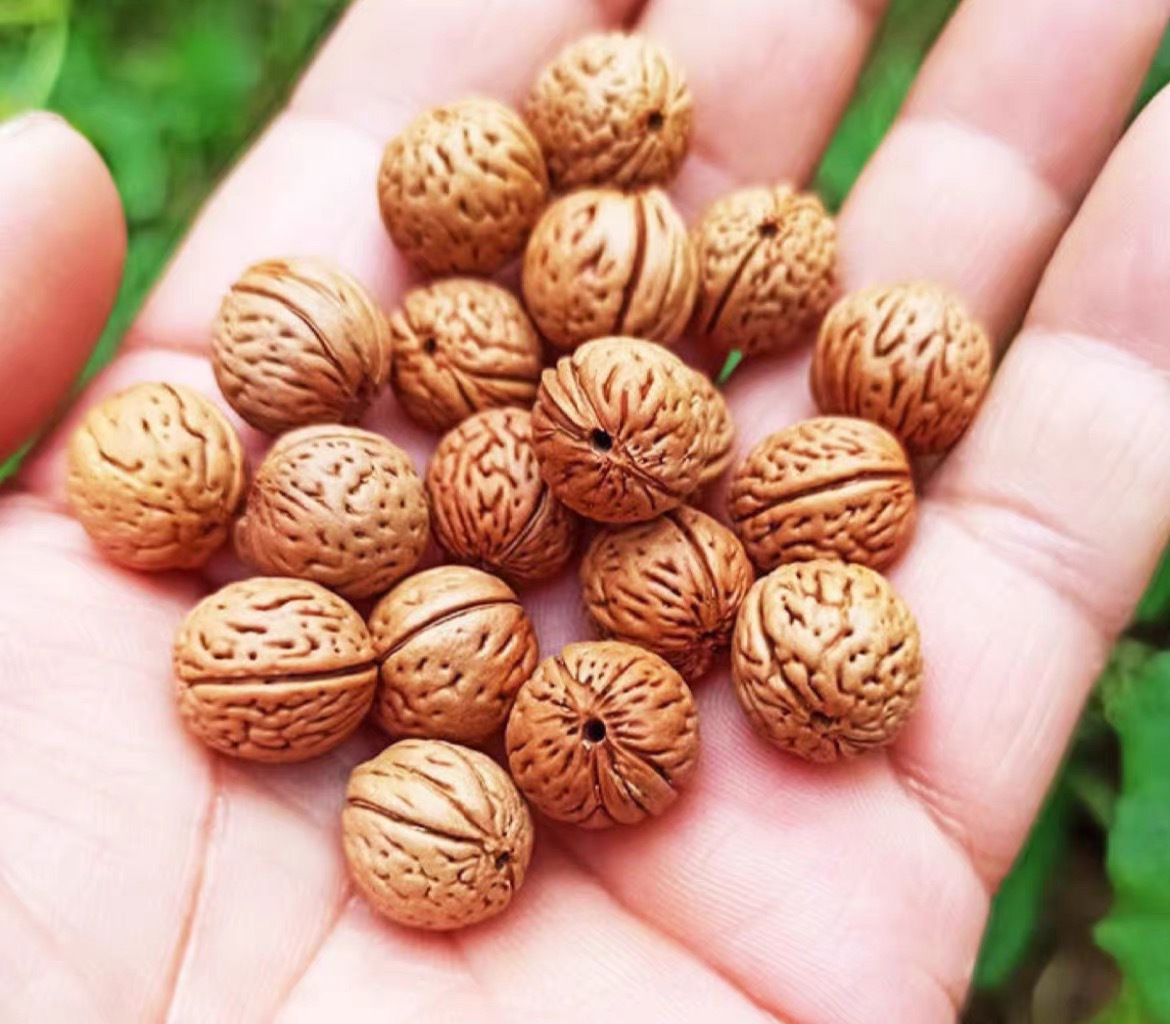 微信图片_20240601235915