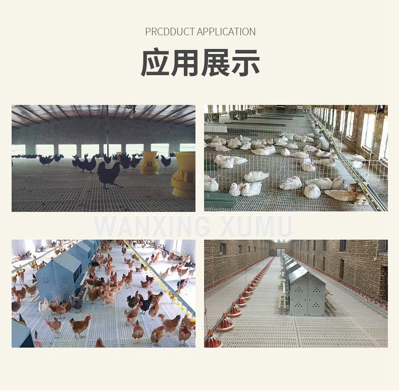 塑料网床鸡粪板鸭粪板鹅粪板禽类漏粪板泄粪地板平养网床