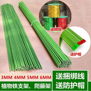 �𾀘�̶�֧���m���������F�z����֧���߲˹Ϲ����ټ�ֲ��֧�ΗU