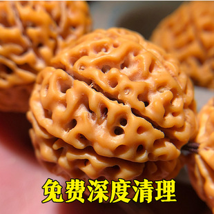 ����ӡ����ؼt����������ִ���ʿŮ�����ӷ���������������ֳ�