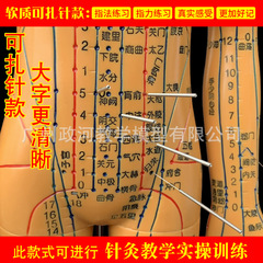 Human acupuncture model meridian acupoints TCM whole body twelve bronze people model figure small person acupuncture practice small skin man
