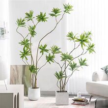�ٺ��������ֲ�������ڷ�����ֲ�����Է���ֲ���辰������ذڼ�