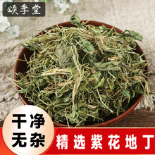 中药材新货苦地丁草新鲜紫花地丁干草犁头草箭头草光瓣堇菜中草药