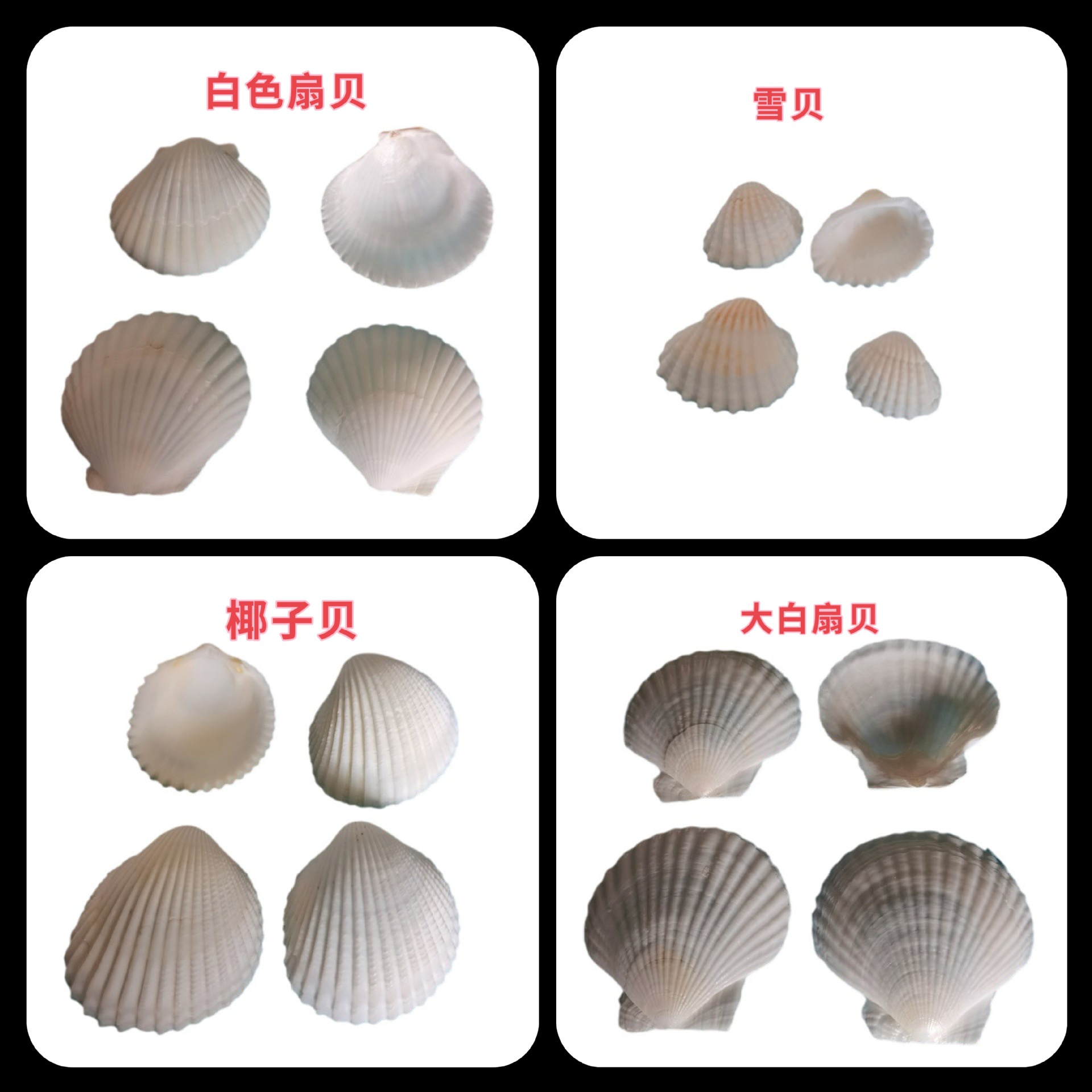 MTXX_PT20230831_142204503