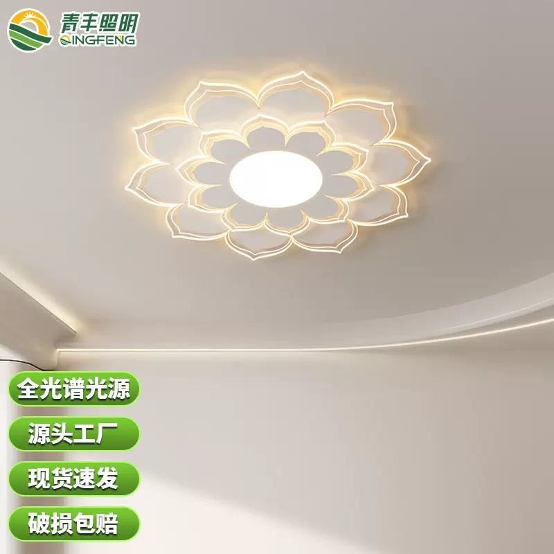 led花型吸顶灯客厅大灯主灯卧室灯灯具组合中山灯具厂直销