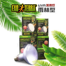 加拿大EXOTERRA爬宠UVA灯泡加热保温日灯陆龟蜥蜴变色龙水龟晒背