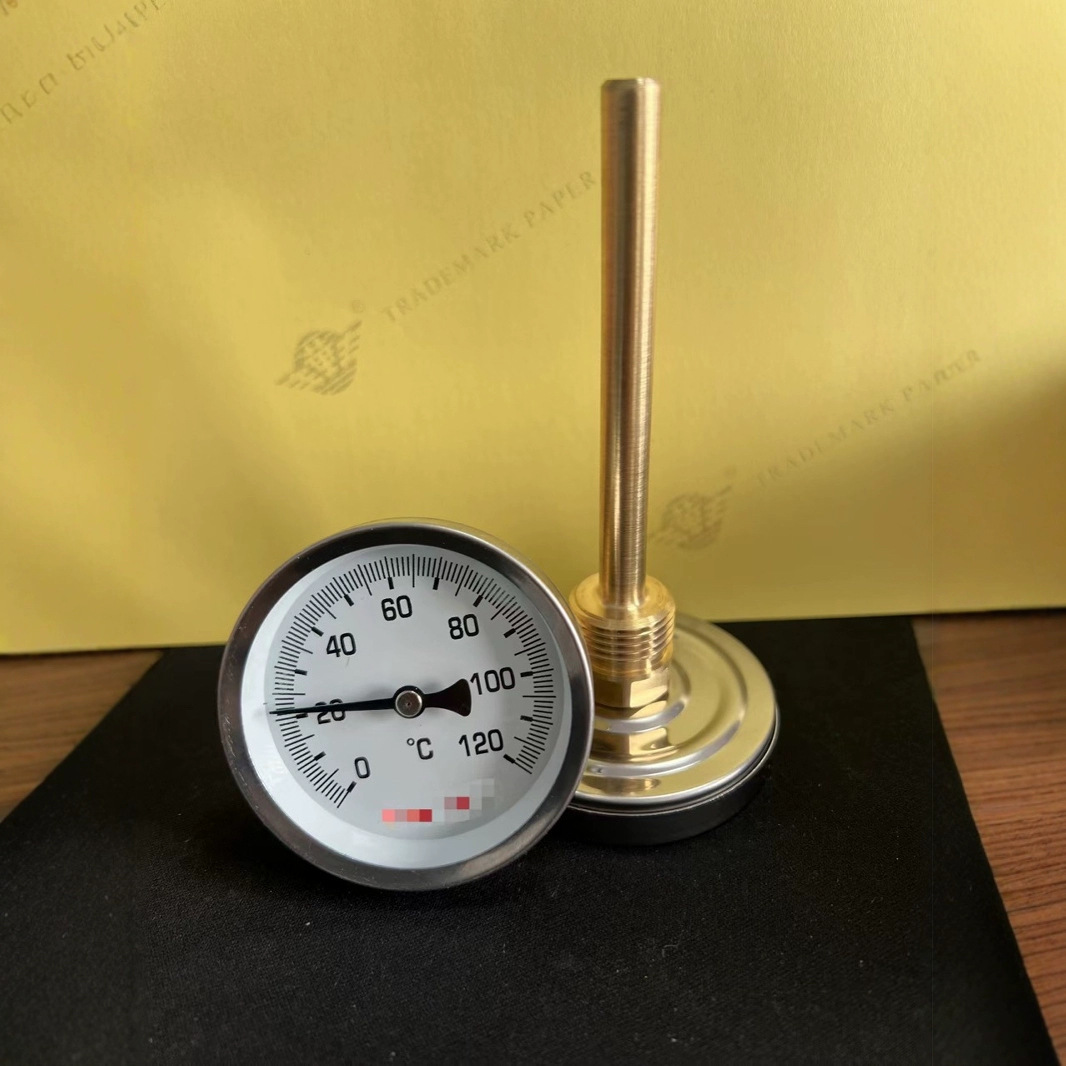 双金属不锈钢外壳铜夹工业用水管指针式管道带弹簧温度表(63mm)