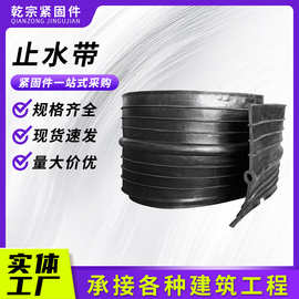 防水止水带隧道建筑用外贴式止水条高弹橡胶止水带中埋式止水带