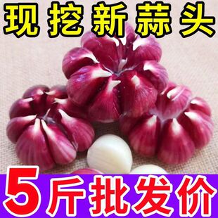 食验室零食
