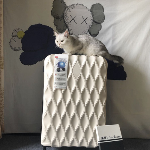 Selected Bird's Nest Pattern Luggage for Men and Women, Travel Password Suitcase, Foreign Trade and Overseas Trip Rolling Suitcase, Ball Wheel Leather Suitcase, Wholesale Trendy