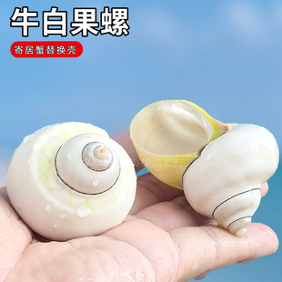 ��Ȼ����ؐ�����͹��ݼľ�з��ؐ�~��Q���~���쾰�ҾӔ[���b�Ʒ