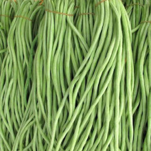 ����Nֲ�߲ˌ�����̖�N�� �߮a���쿹�����Ĳ��N�t���L���ǷN��