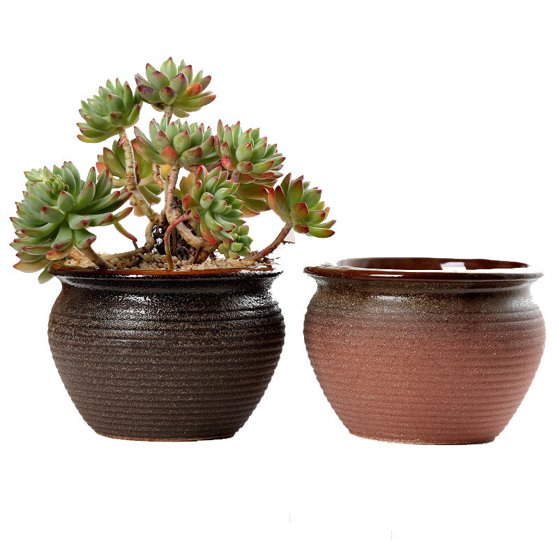 多肉陶磁器の植木鉢の大きいサイズの緑のロリの法師の古い杭は大口径の小さいサイズのデスクトップを植えます。|undefined