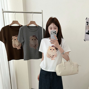 �nϵ����ɐ۴���؈�����T��Ů2026�ļ��¿��@�����A�I����