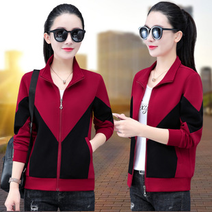 �＾�\�Ӷ����bŮ2024���¿�r�����ߙn���＾���I�_�������A��