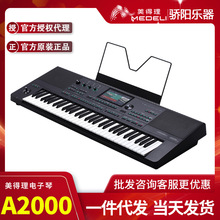 A2000��Ş������������ݳ����������{�������I�P61�I����