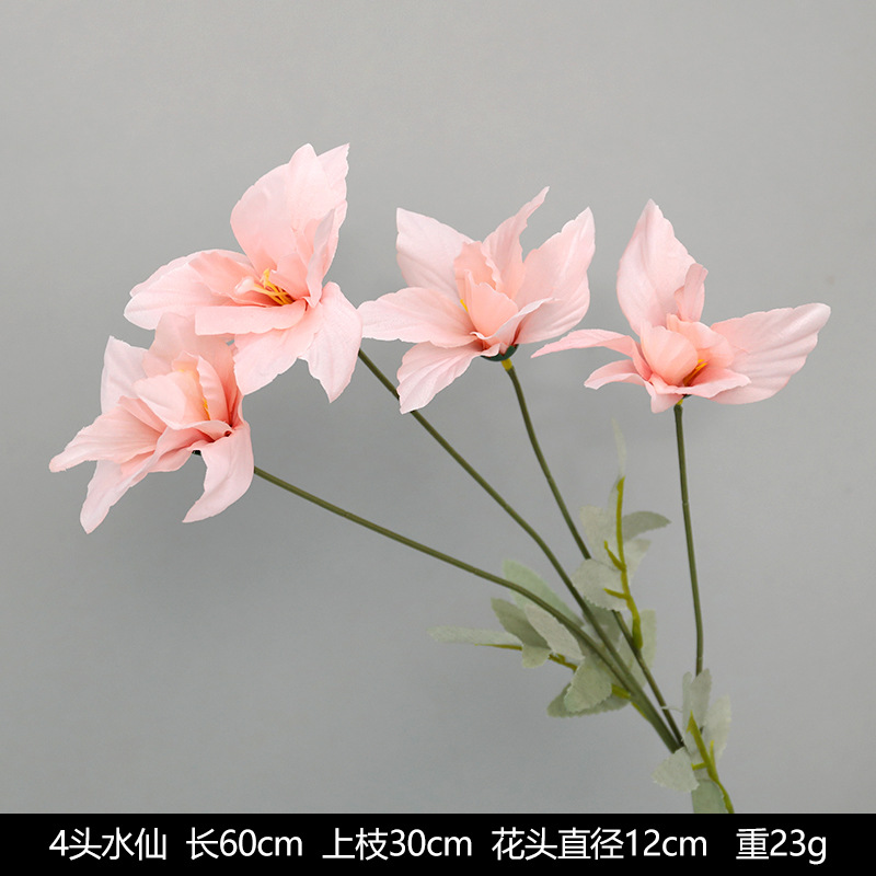 4 수선화