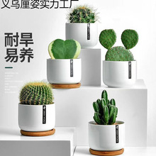 �����������������҃Ȼ������X����GֲС���Կɐ۶���ֲ���辰