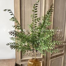 仿真5叉洋槐叶  家居装饰插花配材摄影道具仿真花 米兰叶绿植假花