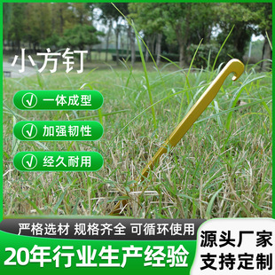 Factory direct# outdoor tent# hardware accessories #7075 material small square nail# high-end aluminum nail