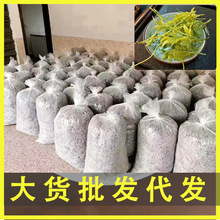 供应散装张家界土家莓茶批发龙须芽尖莓茶藤茶明前茶清明茶 茅岩