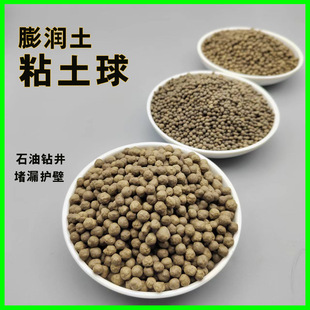 �����w��ճ����荾�����⾮�a©�������������������