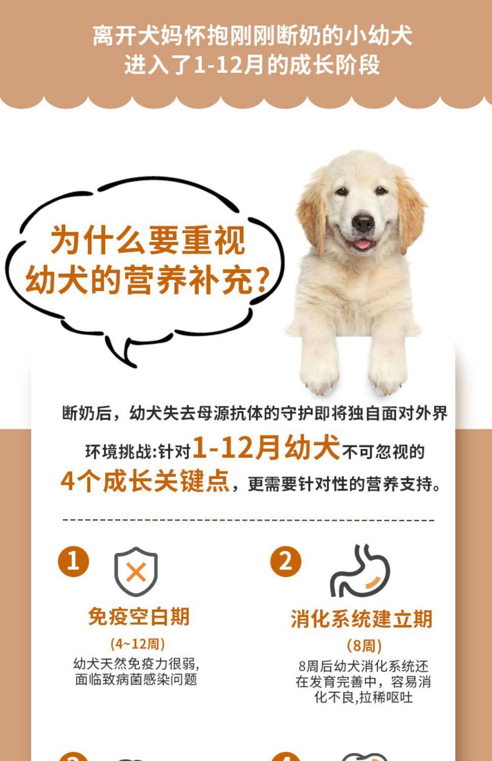 2f6025c4-9046-403a-bca7-57554933a406.jpe