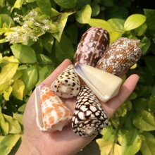 ��Ů������Ȼ����ؐ���˱��ݻ�ƿ���\���~���쾰ˮ���b[��