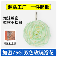 õ廨ԡŮ2025¿ԡҌóܛݲɢ̖ϴ