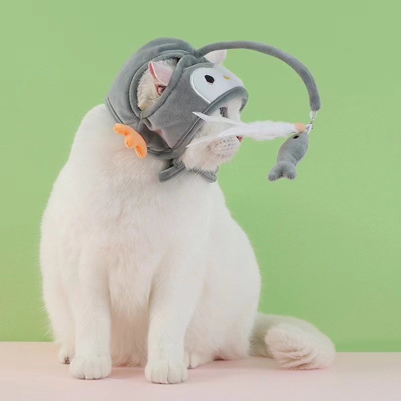 리틀 그레이 펭귄