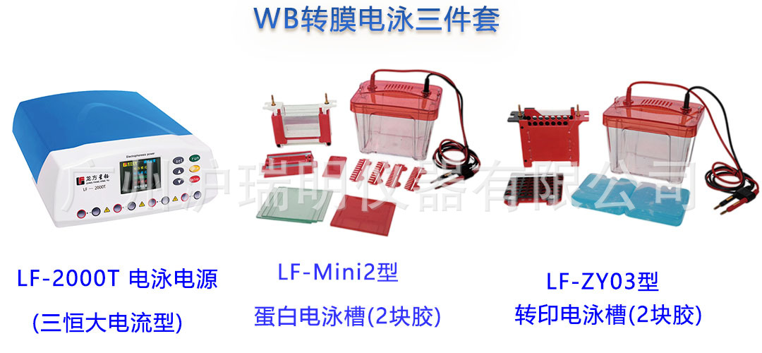 LF-2000T型电泳电源LF-Mini2型垂直电泳槽 LF