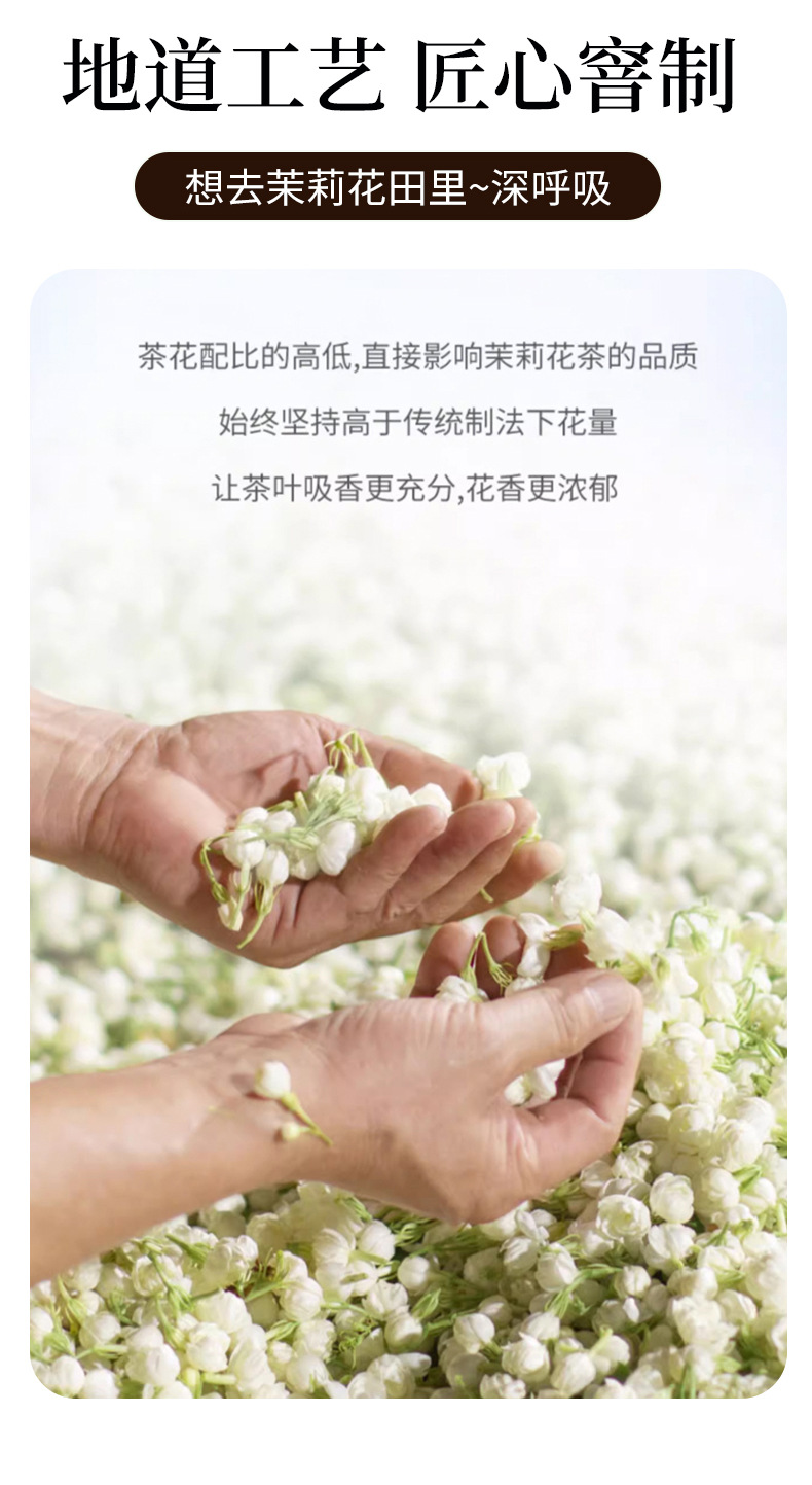 Jasmine Snow Snail Green Tea 50g Bag Cold and Hot Brew Jasmine Flower Tea quality and texture
